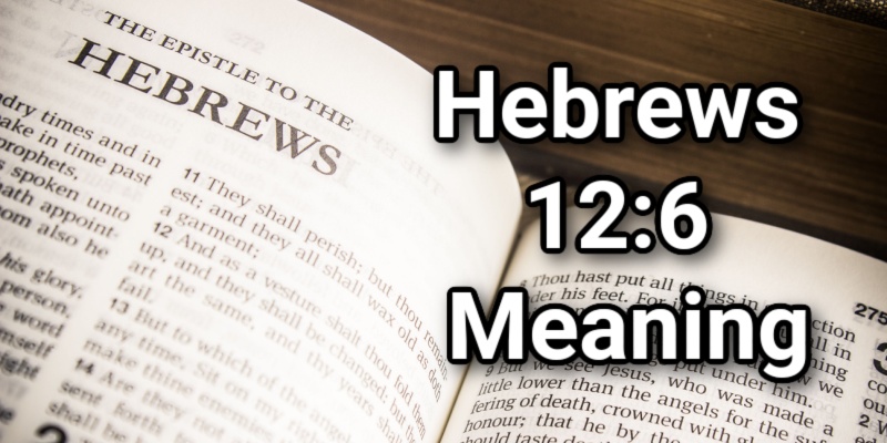 Whom The Lord Loves He Chastens Hebrews 12 6 Meaninglord S Library