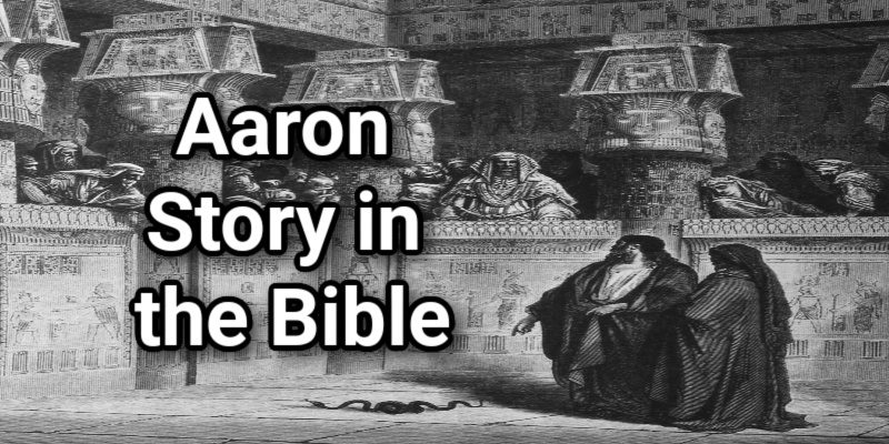 Aaron-Story-in-the-Bible.jpg