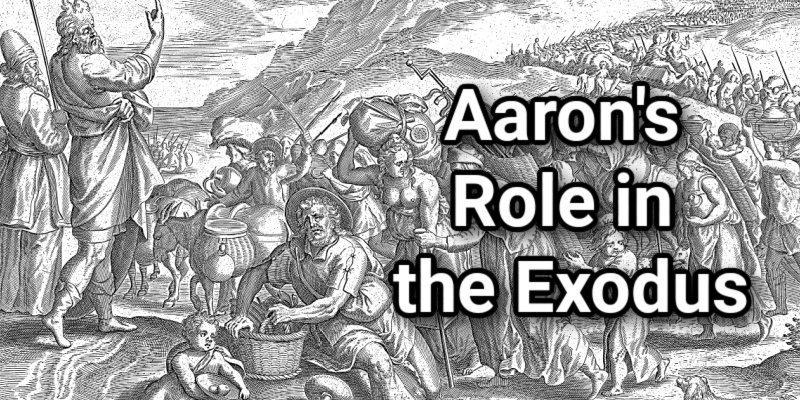 Aarons-Role-in-the-Exodus.jpg