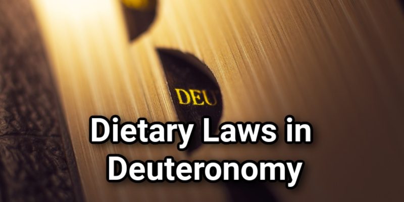 Dietary-Laws-in-Deuteronomy.jpg