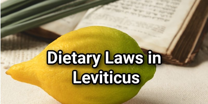 Dietary-Laws-in-Leviticus.jpg