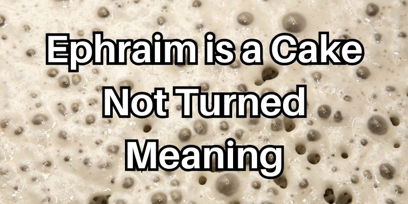 Ephraim-is-a-Cake-Not-Turned-Meaning.jpg