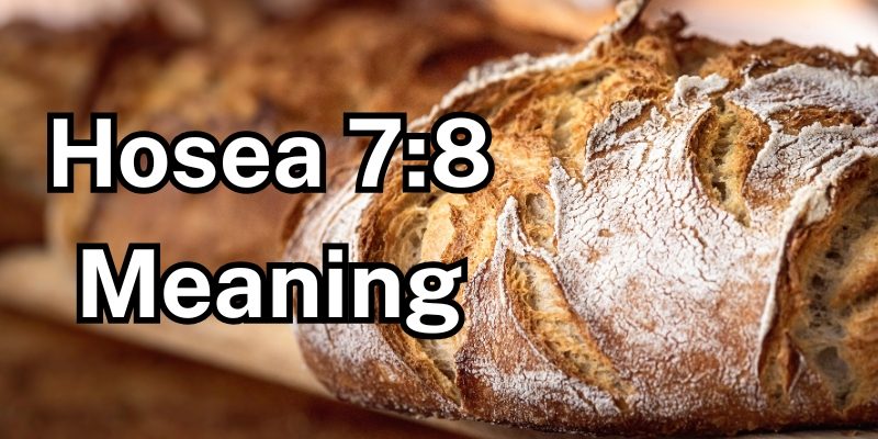 Hosea-78-Meaning.jpg