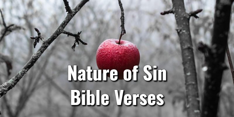 Nature-of-Sin-Bible-Verses.jpg