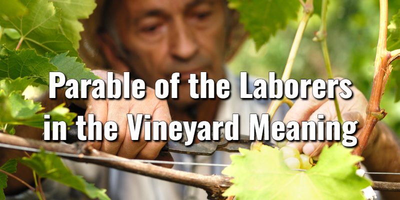 Parable-of-the-Laborers-in-the-Vineyard-Meaning.jpg