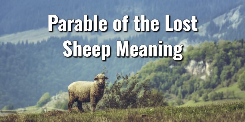 Parable-of-the-Lost-Sheep-Meaning.jpg