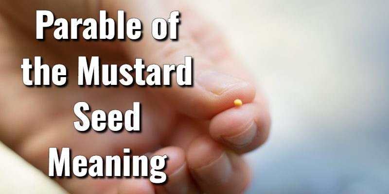 Parable-of-the-Mustard-Seed-Meaning.jpg