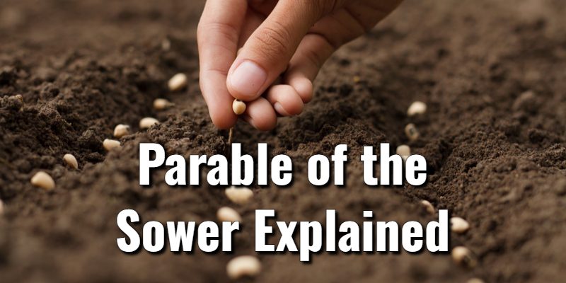 Parable-of-the-Sower-Explained.jpg