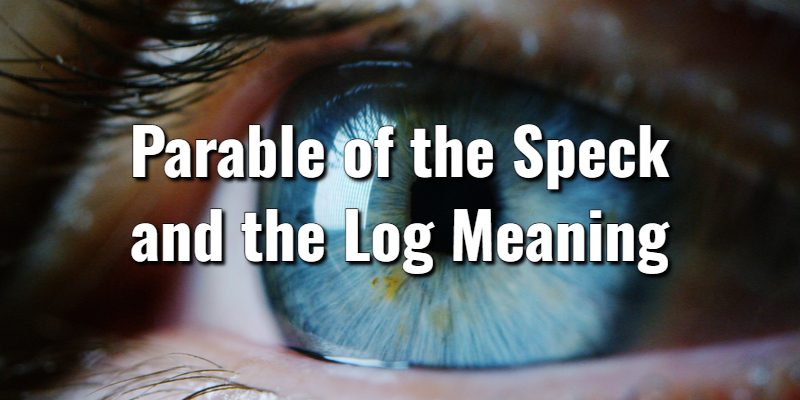 Parable-of-the-Speck-and-the-Log-Meaning.jpg