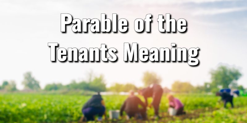 Parable-of-the-Tenants-Meaning.jpg