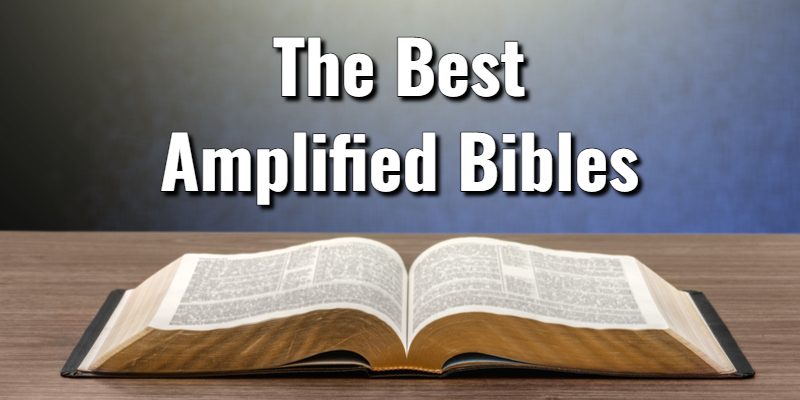 The-Best-Amplified-Bibles.jpg