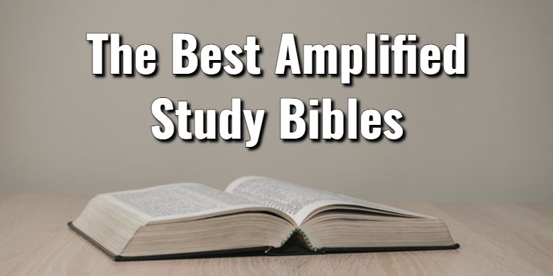 The-Best-Amplified-Study-Bibles.jpg
