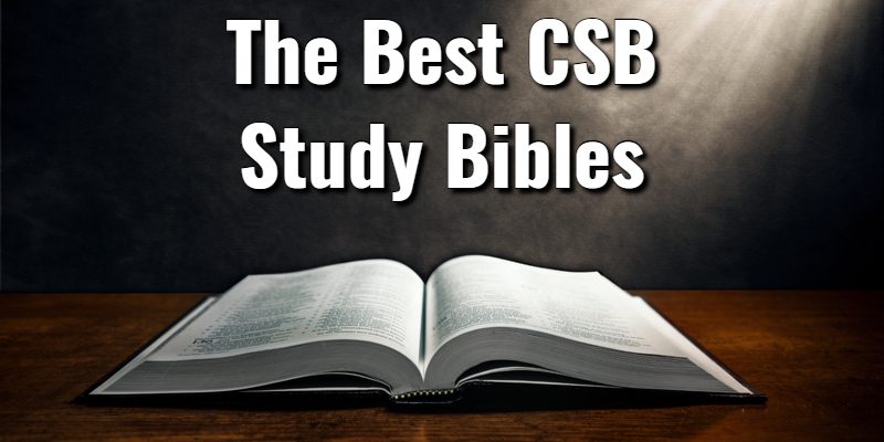 The-Best-CSB-Study-Bibles.jpg