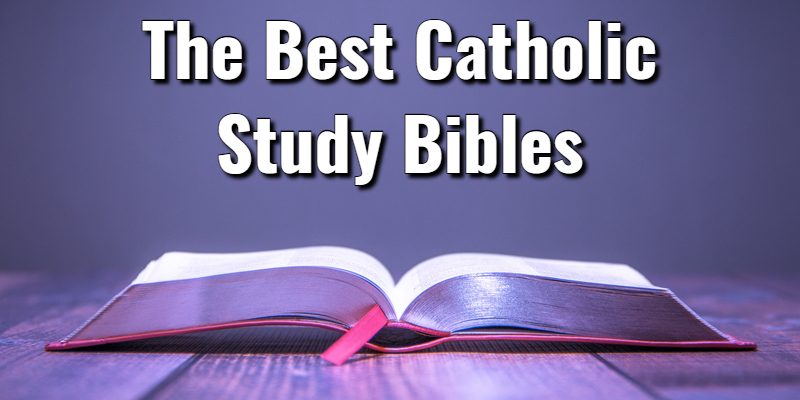 The-Best-Catholic-Study-Bibles.jpg