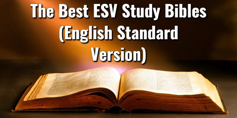 The-Best-ESV-Study-Bibles.jpg