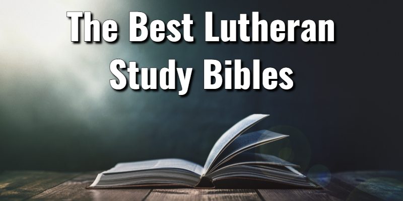 The-Best-Lutheran-Study-Bibles.jpg