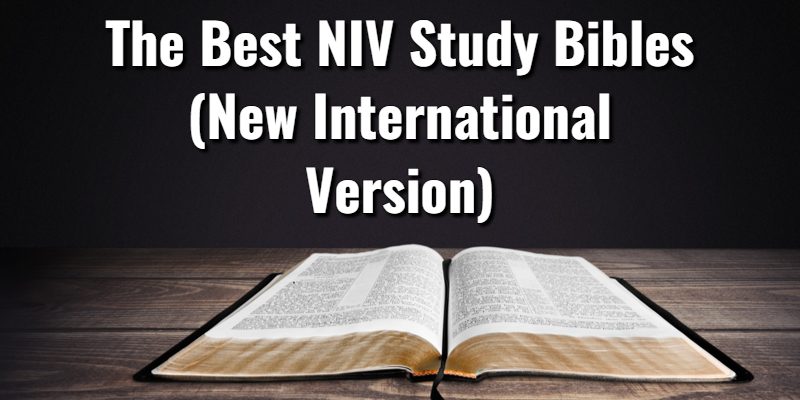 The-Best-NIV-Study-Bibles.jpg