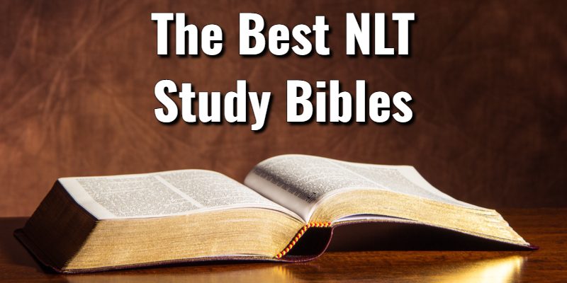 The-Best-NLT-Study-Bibles.jpg
