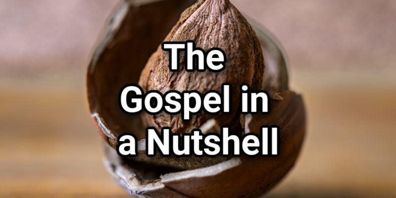 The-Gospel-in-a-Nutshell.jpg