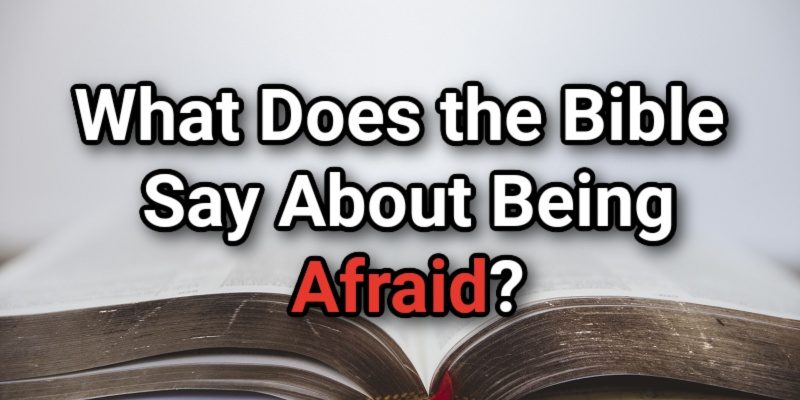 What-Does-the-Bible-Say-About-Being-Afraid.jpg