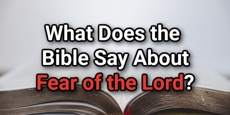 What-Does-the-Bible-Say-About-Fear-of-the-Lord_.jpg
