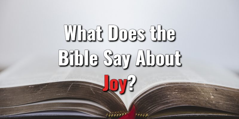 What-Does-the-Bible-Say-About-Joy.jpg